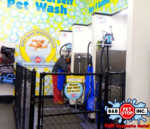DO-IT-YOURSELF PET WASH