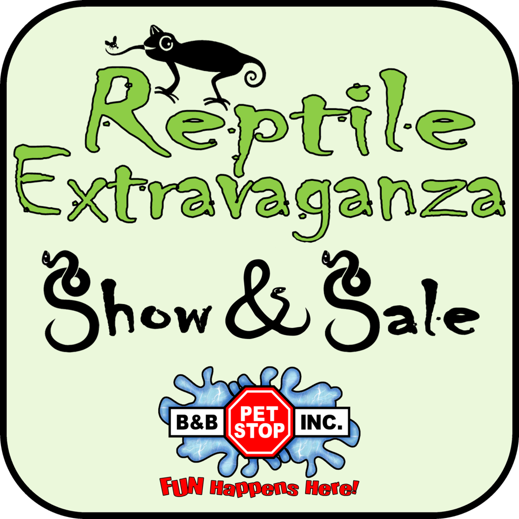 Reptile Extravaganza B&B Pet Stop