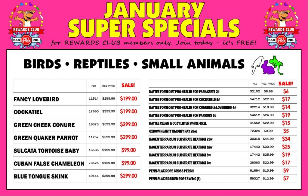 Specials - B&B Pet Stop